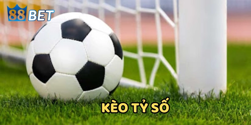 Bí Quyết Soi Kèo Tỷ Số Chuẩn Từng GIây Dành Cho Người Mới Những loại kèo phổ biến